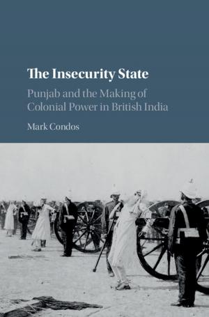 Cover of the book The Insecurity State by Natalie Schilling