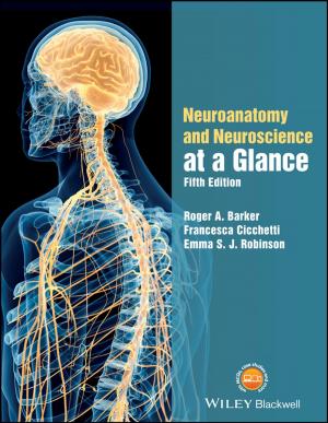 Book cover of Neuroanatomy and Neuroscience at a Glance