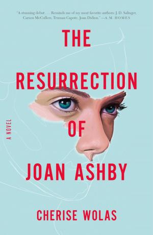 Cover of the book The Resurrection of Joan Ashby by Sally Cook