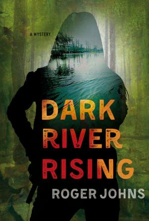 Cover of the book Dark River Rising by T.L. Williams