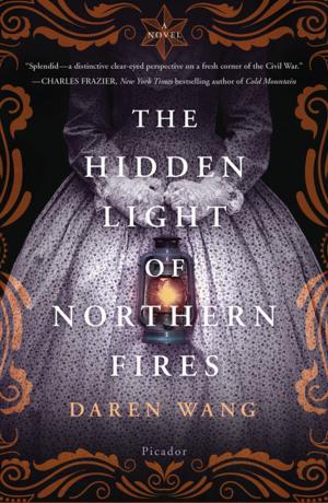 Cover of the book The Hidden Light of Northern Fires by Clare Curzon