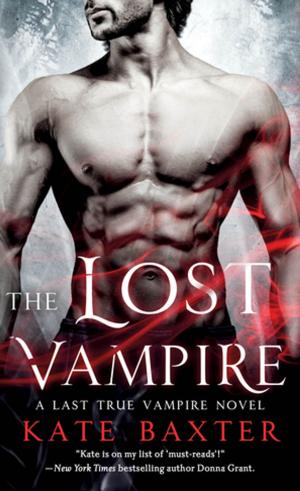 Cover of the book The Lost Vampire by Ann Aguirre
