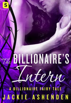 Cover of the book The Billionaire's Intern by Sanjiv Chopra, Gina Vild