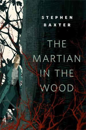 Cover of the book The Martian in the Wood by Kerstin Hall