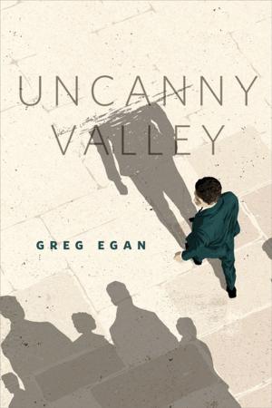Book cover of Uncanny Valley