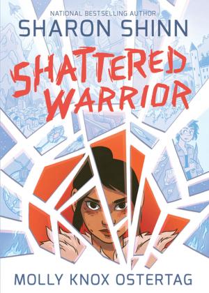 Cover of the book Shattered Warrior by Adam Rapp, Mike Cavallaro