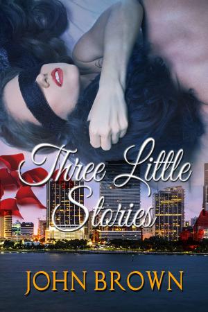 Cover of the book Three Little Stories by Don Schecter