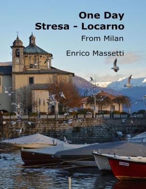 Book cover of One Day Stresa - Locarno from Milan