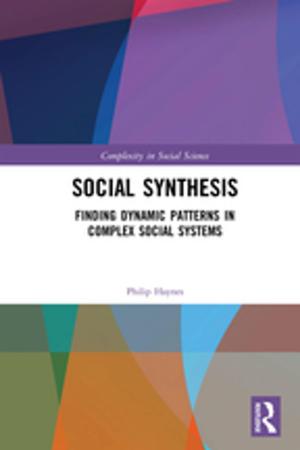 Cover of the book Social Synthesis by Maria Pia Donato