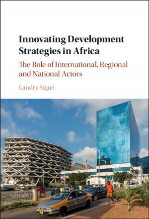 Cover of the book Innovating Development Strategies in Africa by J. David Bleich, Arthur J. Jacobson