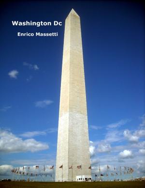 Cover of the book Washington Dc by Rebecca Horan