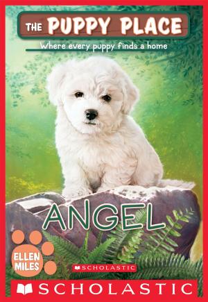 Cover of the book Angel (The Puppy Place #46) by Daisy Meadows