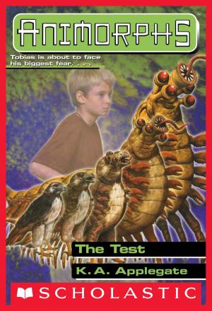 bigCover of the book The Test (Animorphs #43) by 