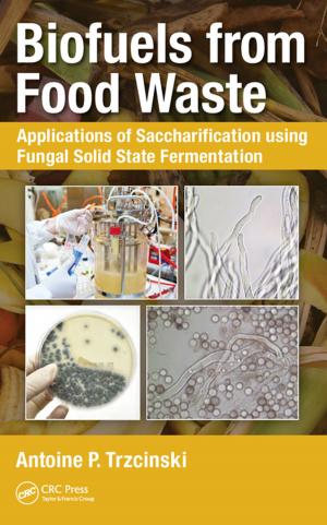 Cover of the book Biofuels from Food Waste by Jamie Cardoso