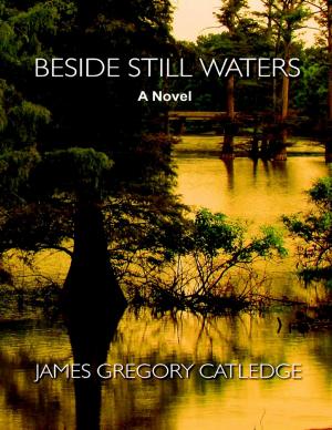 Cover of the book Beside Still Waters by Dr. Katrina Zeus