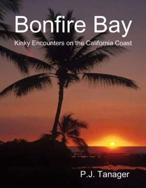 Cover of the book Bonfire Bay: Kinky Encounters on the California Coast by Jeannie Alvin M.A. (Nadhashree)