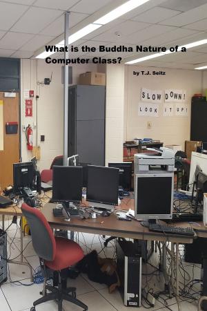 Cover of the book What is the Buddha Nature of a Computer Class? by TJ Seitz