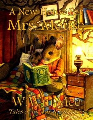 bigCover of the book A New House For Mrs. Mouse by 
