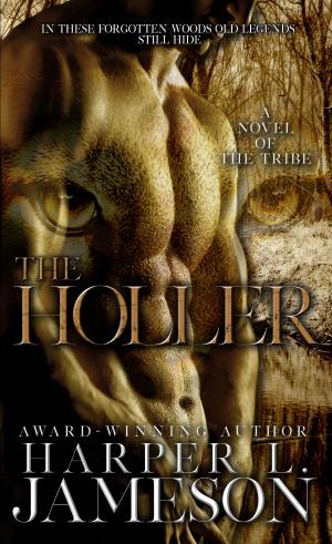 bigCover of the book The Holler by 