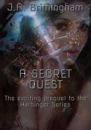 Cover of the book A Secret Quest by Elle Todd