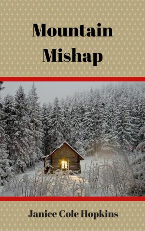 Book cover of Mountain Mishap