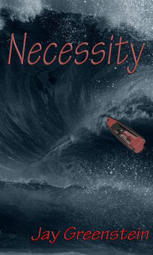 bigCover of the book Necessity by 