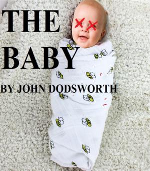 Cover of the book The Baby by Jon Dziadyk