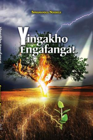 Cover of the book Yingakho Engafanga! by Massimo Rodolfi