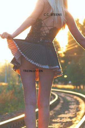 Cover of the book Treinlusten by K.A. Smith