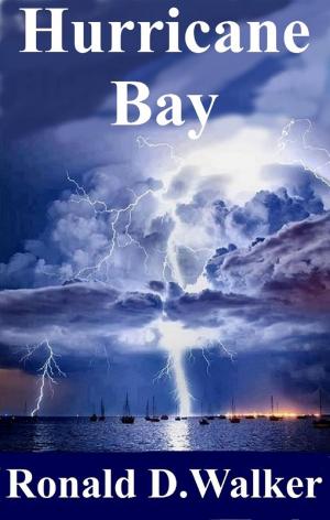 Cover of Hurricane Bay