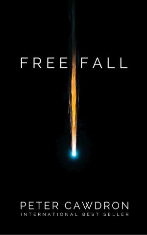 Cover of the book Free Fall by Dangerous Walker