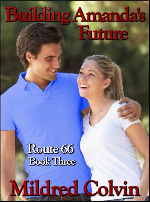 Cover of the book Building Amanda's Future by Mildred Colvin