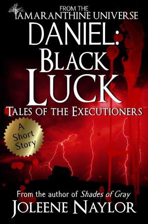 Cover of the book Daniel: Black Luck (Tales of the Executioners) by Jared Prophet