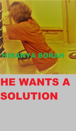 Cover of the book He Wants a Solution by Hiranya Borah