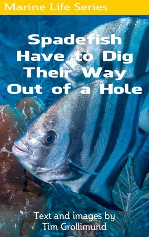Cover of the book Spadefish Have to Dig Their Way Out of a Hole by Luca Cicali