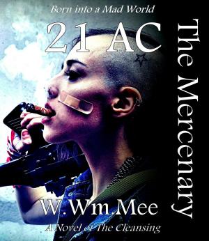 bigCover of the book 21 AC The Mercenary by 