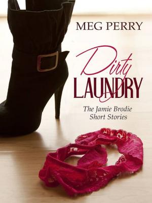 Book cover of Dirty Laundry: The Jamie Brodie Short Stories