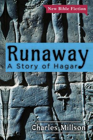 Cover of the book Runaway: A Story of Hagar by Brian Kannard