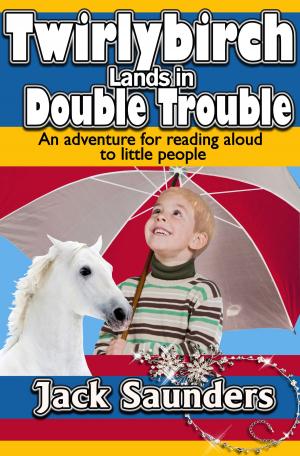Cover of the book Twirlybirch Lands in Double Trouble by D.E. Chapman