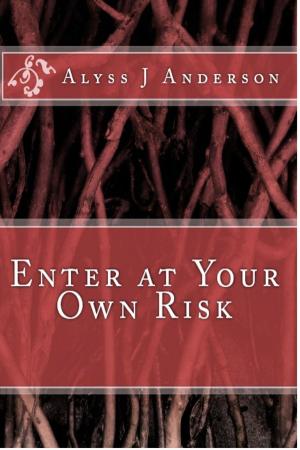 Book cover of Enter At Your Own Risk