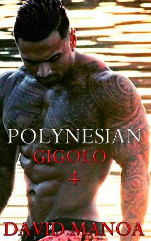 Book cover of Polynesian Gigolo 4