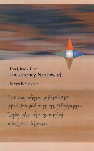 Cover of the book Tond, Book Three: The Journey Northward by Eric Jaffe