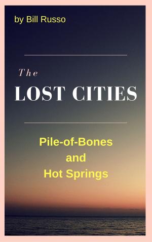 Book cover of The Lost Cities: Pile of Bones and Hot Springs