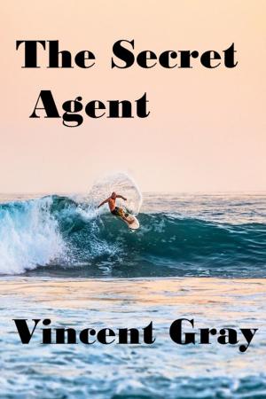 Cover of the book The Secret Agent by Vincent Gray