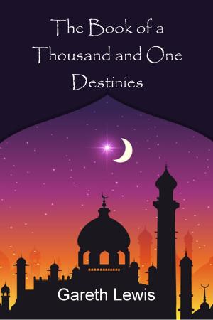 Book cover of The Book of a Thousand and One Destinies