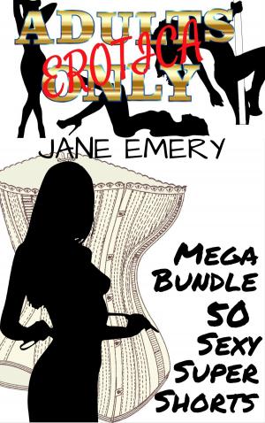 Book cover of Adults Only Erotica Mega Bundle: 50 Sexy Super Shorts
