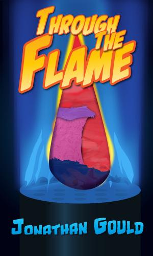 Book cover of Through the Flame