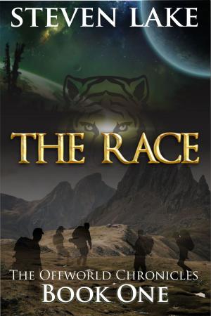 Cover of the book The Race by Sean Monaghan