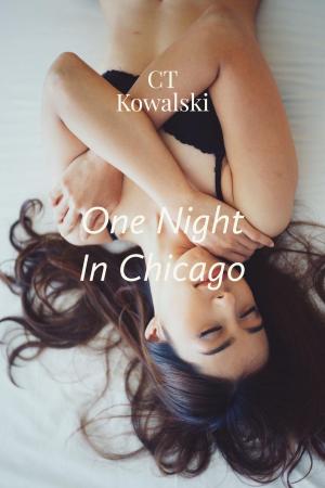 Book cover of One Night in Chicago