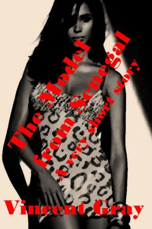 Cover of the book The Model from Senegal by crystalphoenix